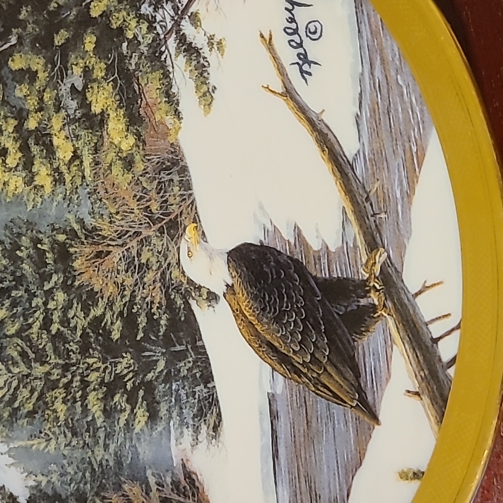 Collector plates - Picture 2 of 8